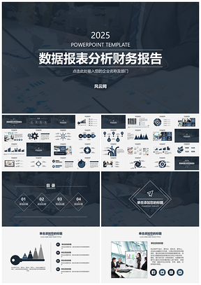 商務企業(yè)數(shù)據(jù)報表分析財務報告模板