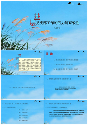 基层党支部工作的活力与有效性PPT模板