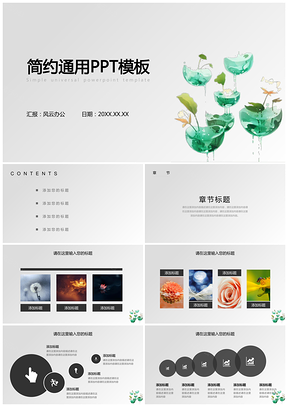 灰色简约荷花盆栽通用总结PPT模板