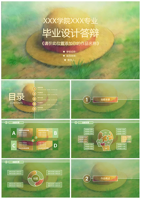 彩色清新帅气海贼王PPT模板