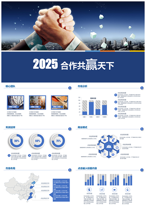 20252025蓝色商务中介公司BP营销案例PPT模板