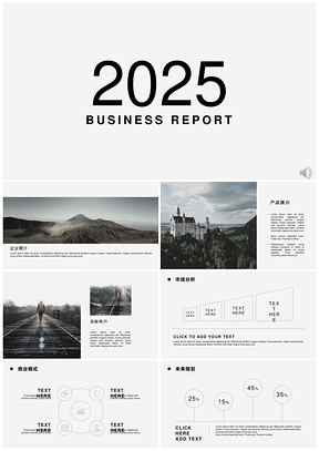 2025灰色黑白風(fēng)跨國公司BP營銷案例PPT模板