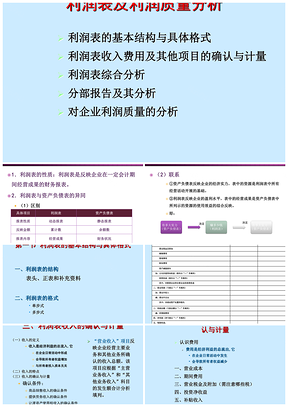 利润利润财务投资管理利润质量分析PPT模板