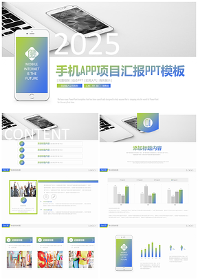 手机APP互联网大数据项目汇报PPT模板