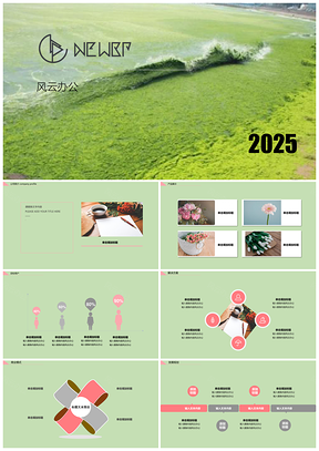 2025淡绿色系简约精品商业计划书PPT模板