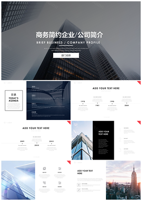 2025彩色高端商务企业公司简介工作汇报通用PPT模板