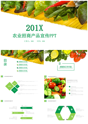 绿色健康农产品推广农业招商产品宣传PPT模板