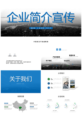 2025产品介绍蓝色企业宣传企业简介简介PPT模板