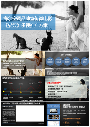 海尔空调微电影《猫奴》推广方案PPT模板
