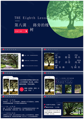 藍色人教版三年級第八課路旁的橡樹PPT模板