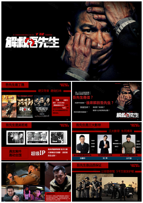 電影《解救吾先生》郁金香合作方案PPT模板