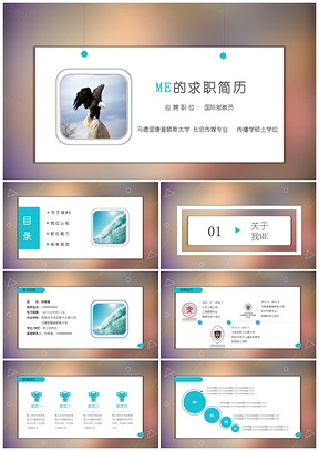 彩色清新簡歷個人求職競聘述職求學(xué)通用PPT模板