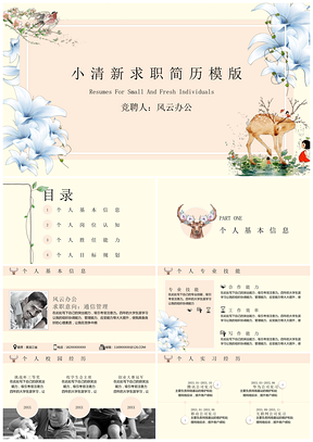 粉色小清新应届生求职简历PPT模板