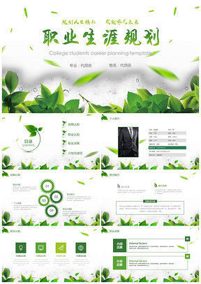 绿色大职业生涯规范静态PPT模板