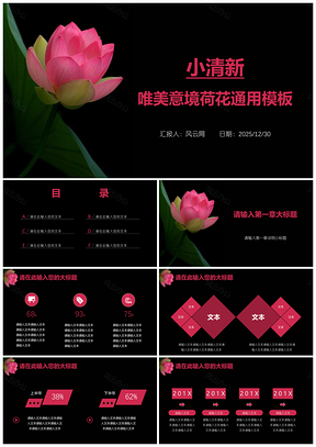 2025黑色小清新荷花工作计划通用PPT模板