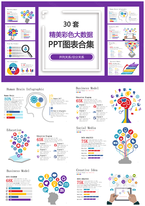 精美彩色大数据并列关系总分关系PPT图表合集