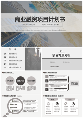 2025商业融资项目计划书PPT模板