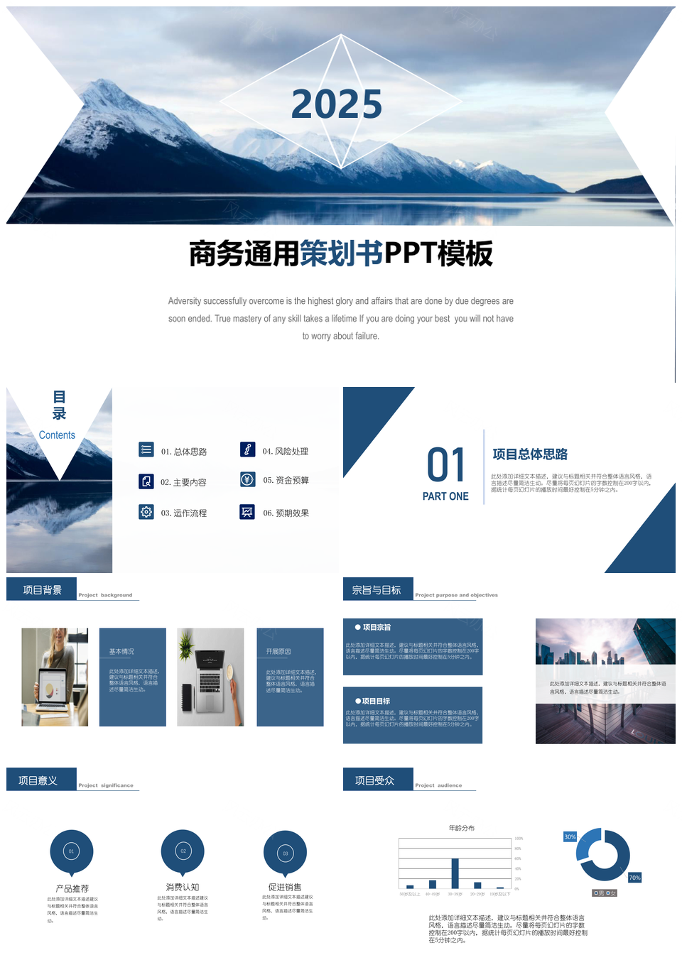 2025商务通用策划书PPT模板