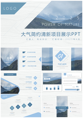 2025大气简约清新项目展示PPT模板