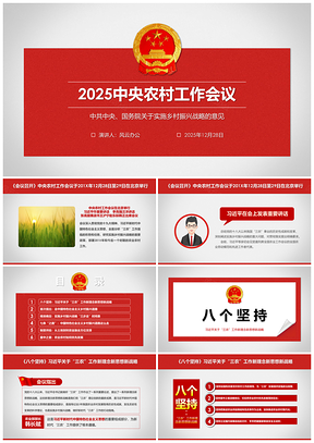 2025中央农村工作会议PPT模板