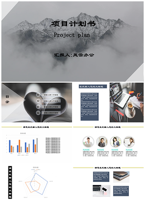 灰色白色项目计划书PPT模板