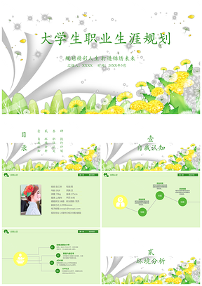 绿色小清新大学生职业规划PPT模板