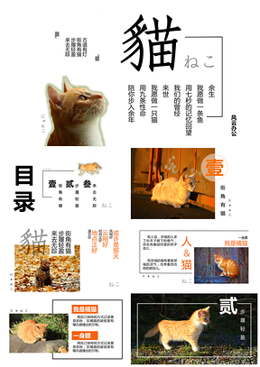 红色简洁小清新猫咪主题通用PPT模板
