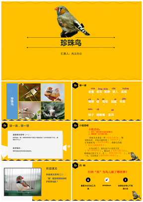 黄色小学语文课文《珍珠鸟》教育教学课件PPT模板