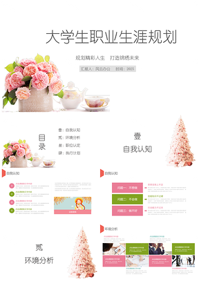 2025粉色小清新大学生职业生涯规划PPT模板