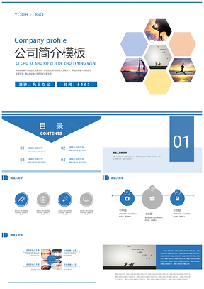 2025灰色蓝色公司简介公司介绍企业宣传推广PPT模板