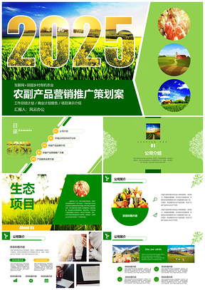 2025绿色互联网加农副产品市场推广企业介绍PPT模板