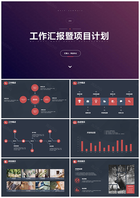 高端大气简约商务风高层项目经理工作汇报