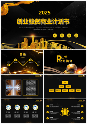 大气黑金创业融资商业计划书