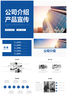 商务大气企业简介公司介绍商务宣传PPT