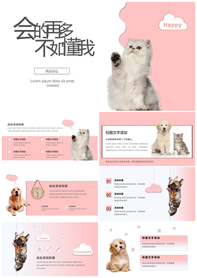粉色小清新爱心宠物活动策划PPT模板