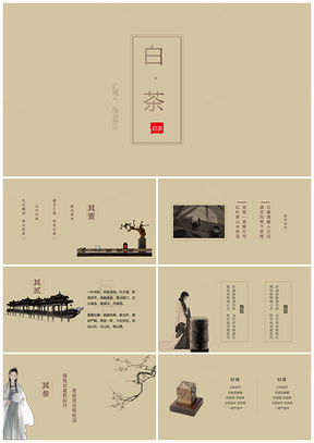 彩色白茶素雅中国风简约PPT模板