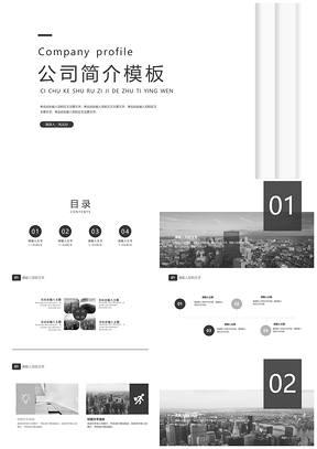 灰色公司簡介企業(yè)宣傳推廣歐美簡潔動態(tài)PPT模板