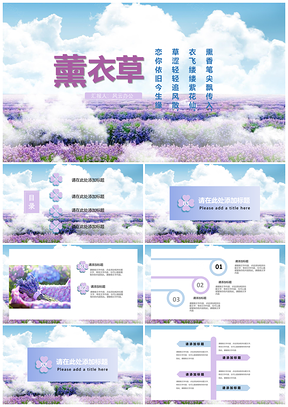 蓝色小清新薰衣草通用PPT模板