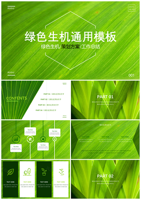 2025绿色清新生态通用PPT模板