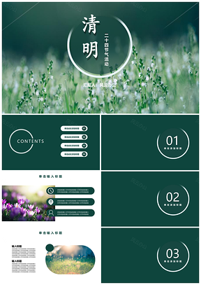 清明時節(jié)二十四節(jié)氣小清新模板