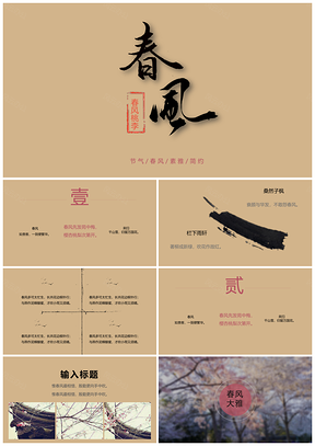 彩色春风节气简约中国风PPT模板
