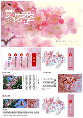 粉色文艺小清新赏花旅游宣传PPT模板
