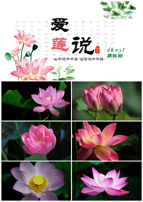 彩色初中语文七年级语文爱莲说语文课件PPT模板