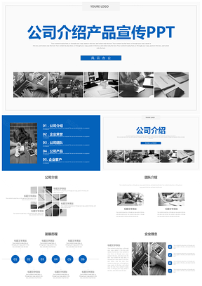 蓝色企业介绍公司简介文化宣传PPT模板