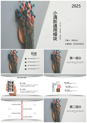 2025灰色粉色简约PPT模板