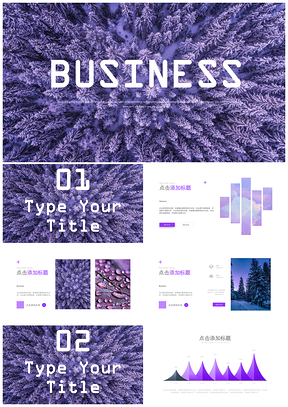 时尚欧美紫色森林商务工作总结计划通用PPT模板