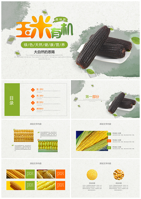 绿色天然农产品有机蔬菜玉米种植PPT模板