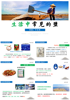 绿色九年级化学下册第十一单元课题生活中常见的盐PPT模板