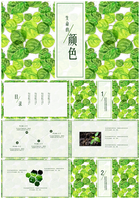 生命的颜色教学课件PPT模板