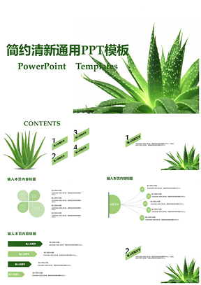 白色简约清新通用述职报告PPT模板